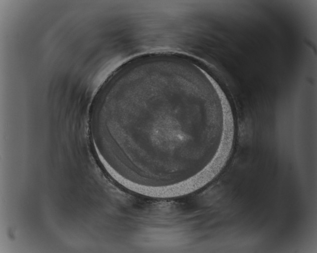 X0000103961279200810101236