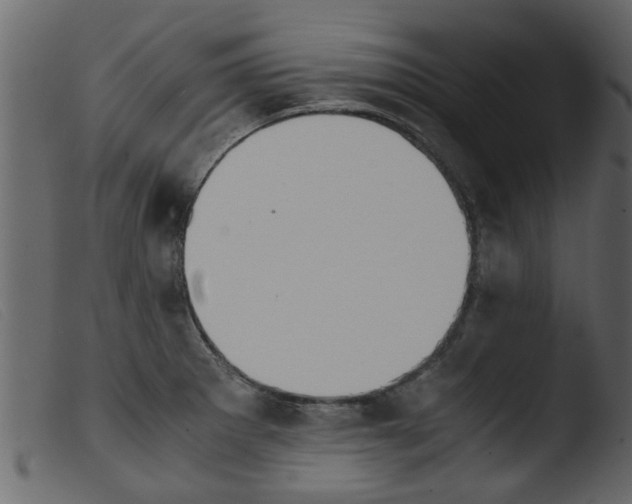 X0000103961281200810101236