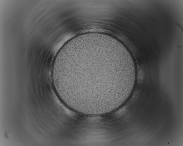 X0000103961282200810101236