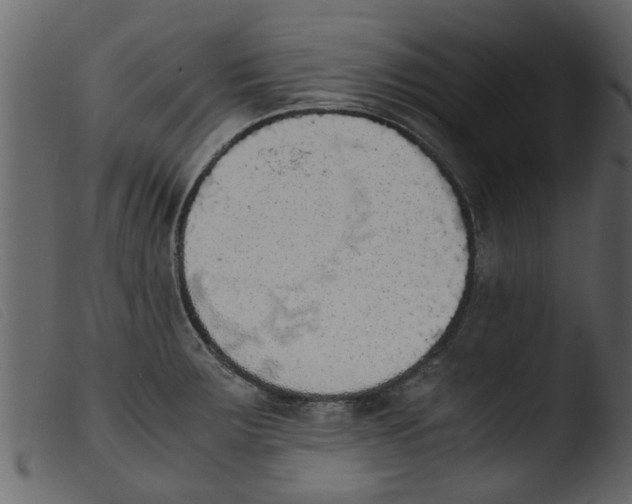 X0000103961283200810101236