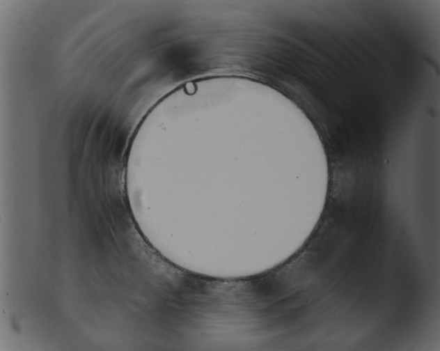 X0000103961284200810101236