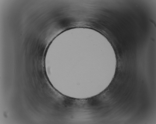 X0000103961285200810101236