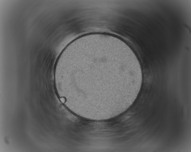 X0000103961287200810101236