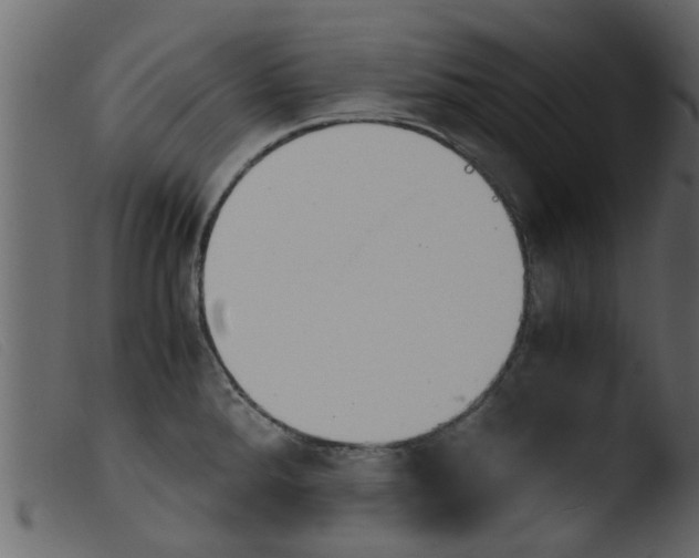 X0000103961288200810101236