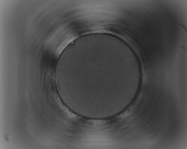 X0000103961289200810101236