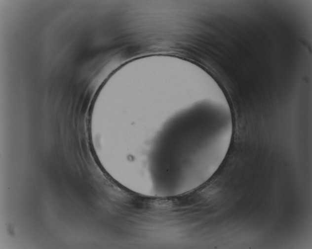 X0000103961291200810101236