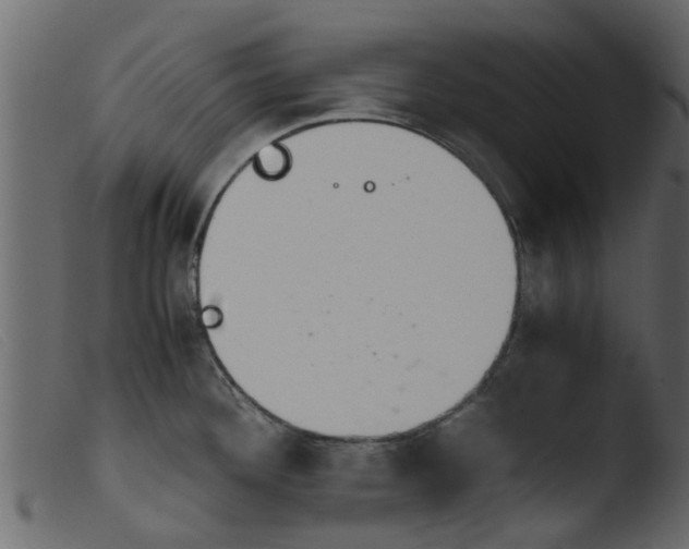 X0000103961292200810101236