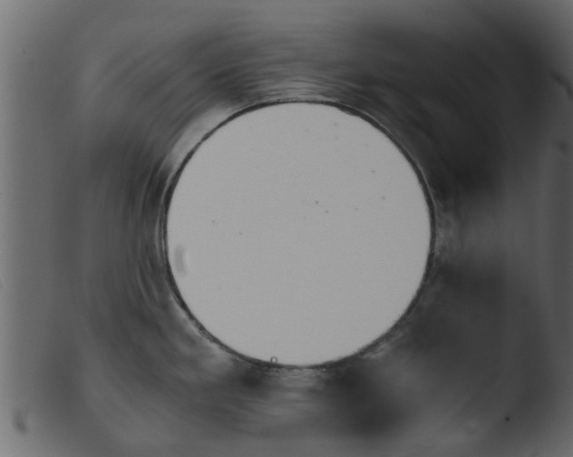 X0000103961293200810101236