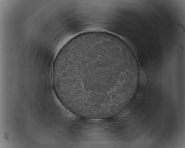 X0000103961295200810101236