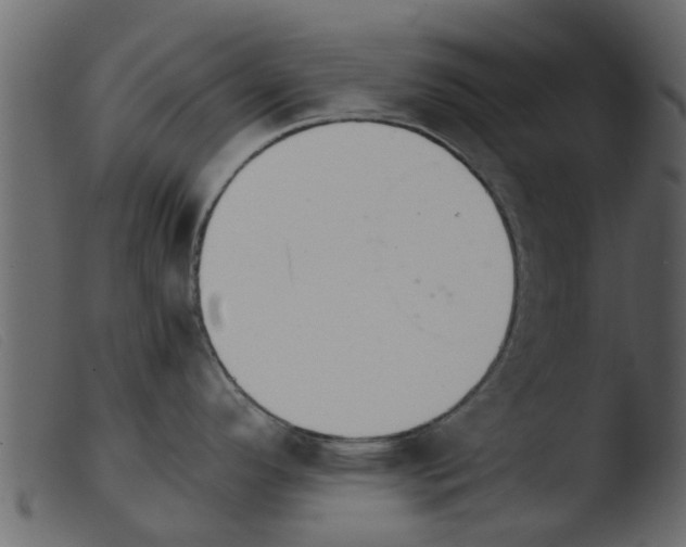 X0000103961296200810101236