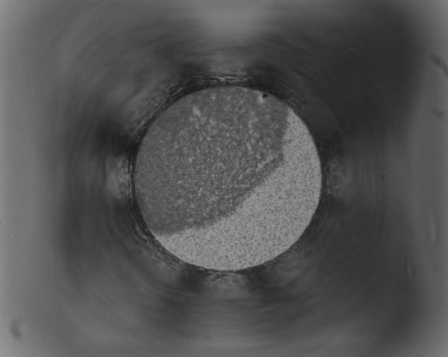 X0000103961298200810101235