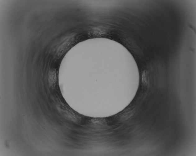 X0000103961299200810101235