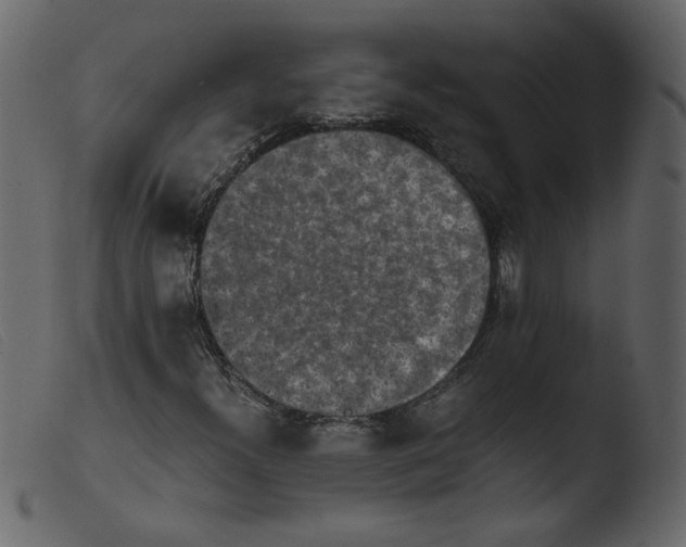 X0000103961300200810101235