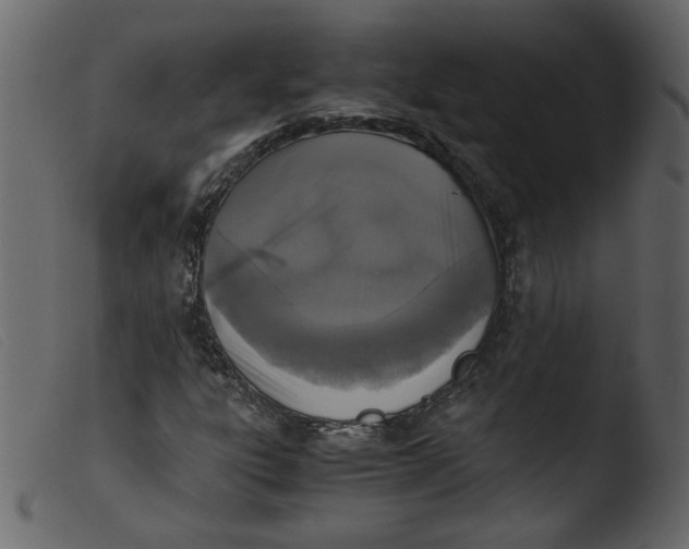 X0000103961303200810101235