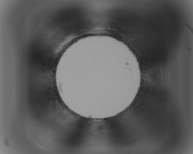 X0000103961304200810101235