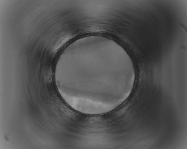 X0000103961306200810101235