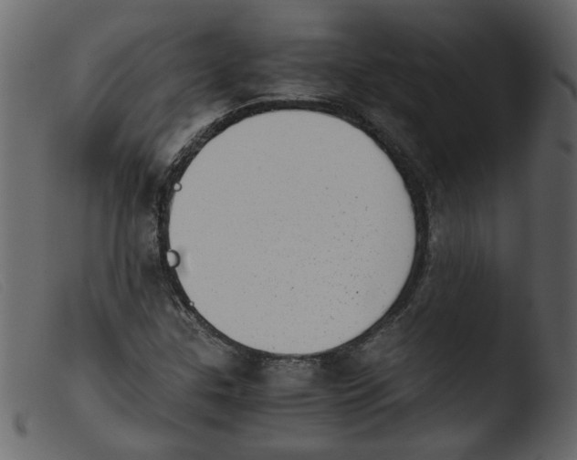 X0000103961307200810101235