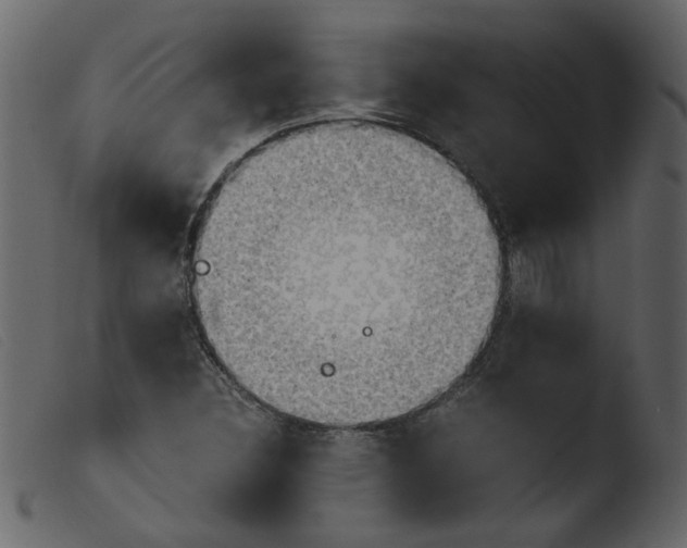 X0000103961308200810101235