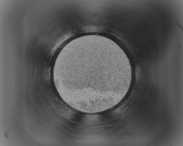 X0000103961309200810101235