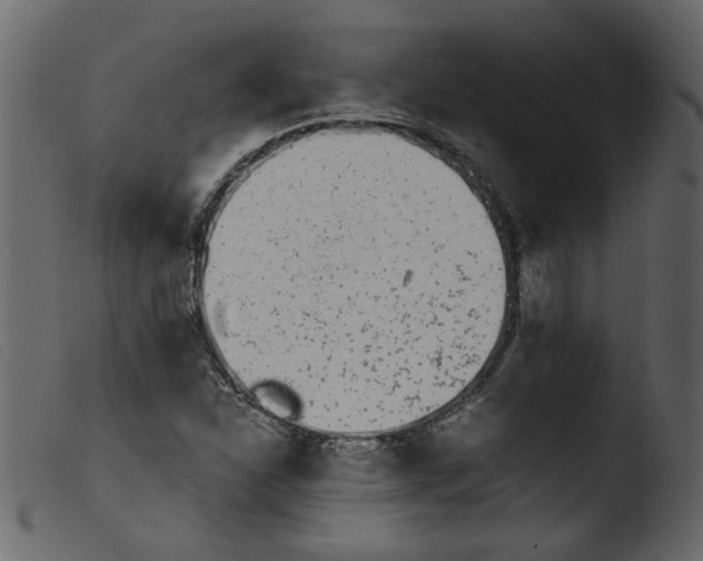 X0000103961310200810101235