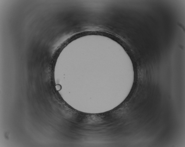 X0000103961311200810101235