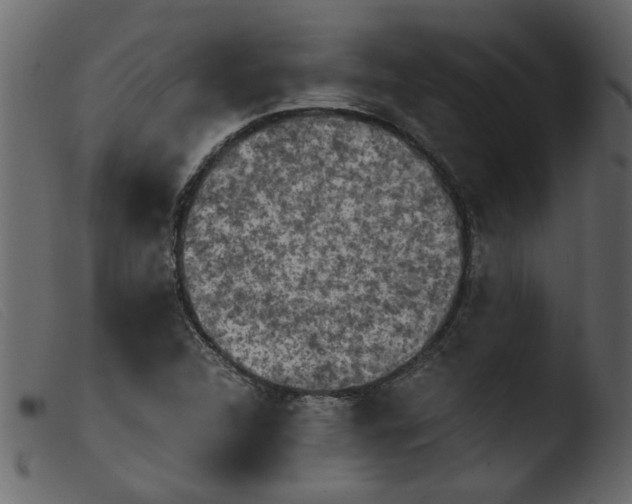 X0000103961312200810101235