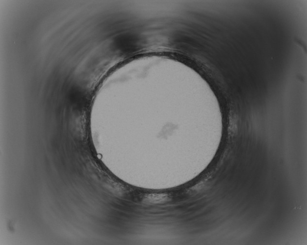 X0000103961313200810101235