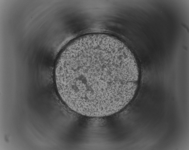 X0000103961314200810101235