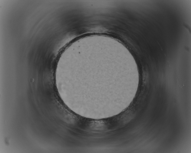 X0000103961315200810101235