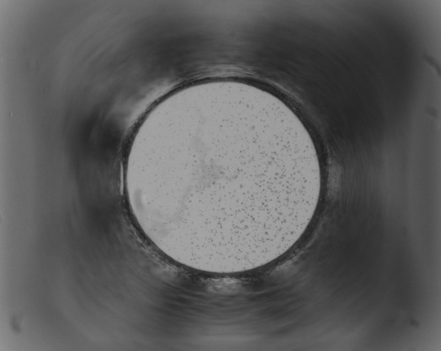 X0000103961317200810101235