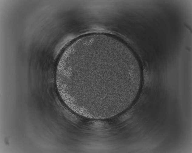 X0000103961318200810101235