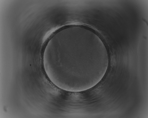 X0000103961319200810101235