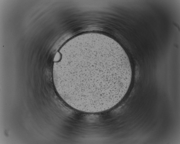 X0000103961321200810101235