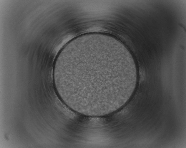 X0000103961322200810101235