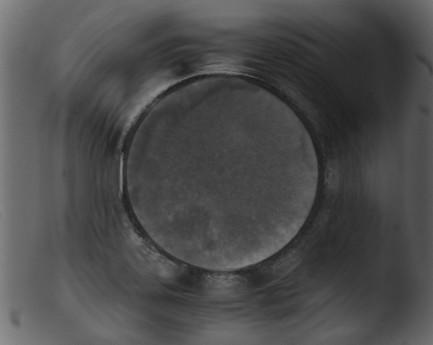 X0000103961323200810101235