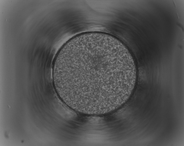 X0000103961324200810101235