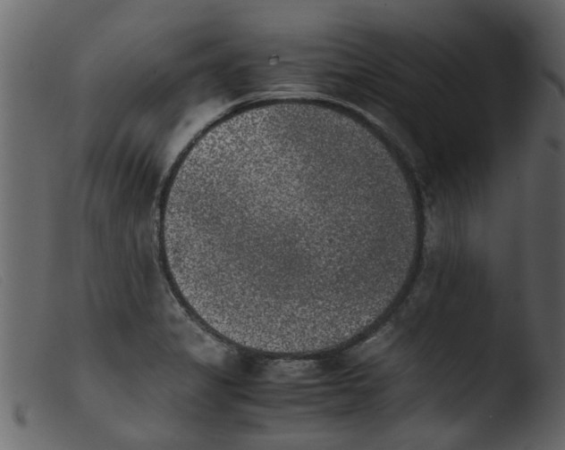 X0000103961325200810101235