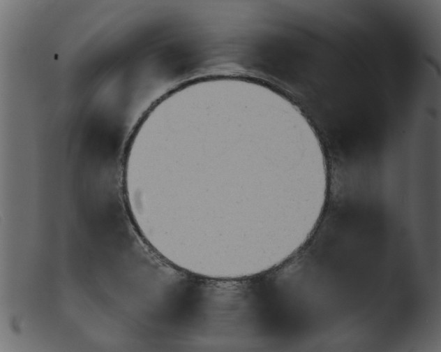 X0000103961326200810101235