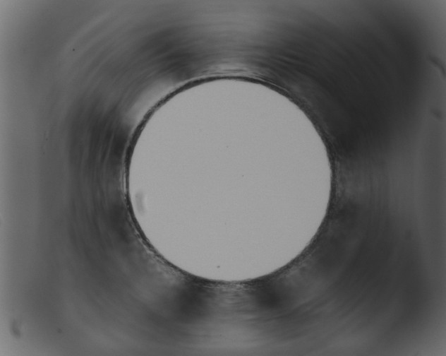 X0000103961328200810101235