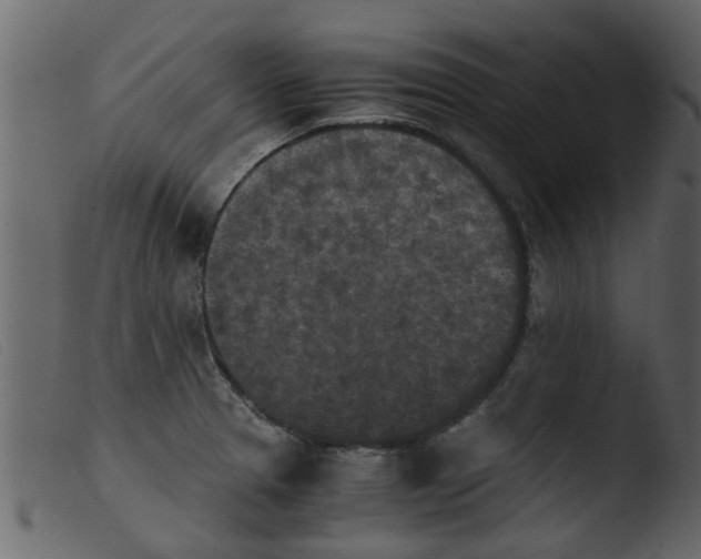 X0000103961329200810101235