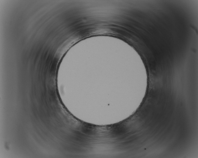 X0000103961330200810101235