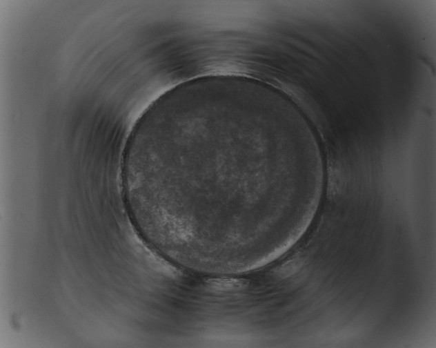 X0000103961331200810101235