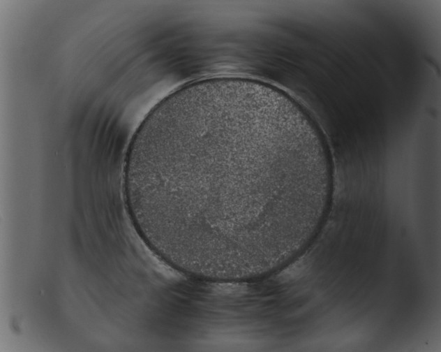 X0000103961333200810101235