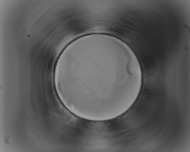 X0000103961334200810101235