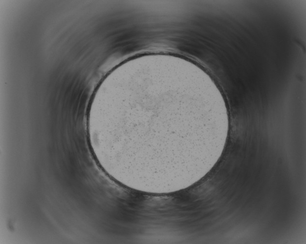 X0000103961335200810101235