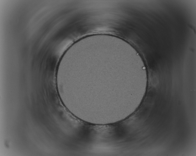 X0000103961336200810101235