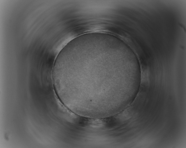 X0000103961338200810101235