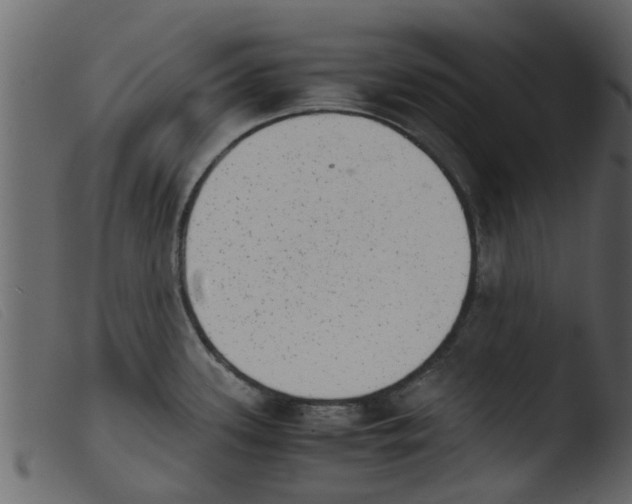 X0000103961339200810101235