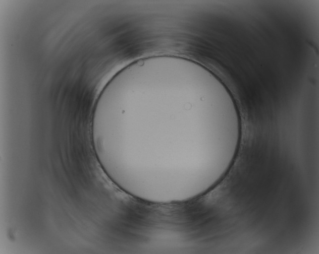 X0000103961340200810101235