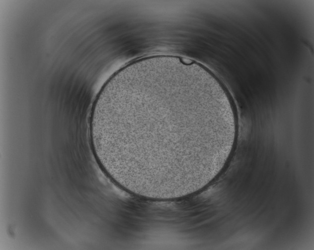 X0000103961341200810101235